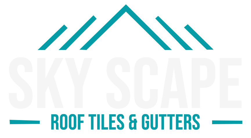 Sky Scape NI Logo